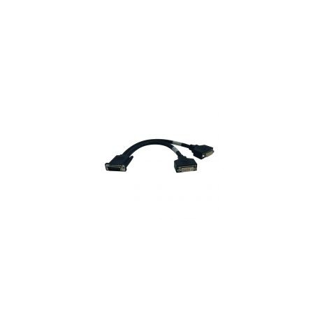 Cable Divisor Tripp Lite En "Y" Dms Macho2X Dvi Hembra 30Cm P576-001