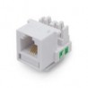 Jack De Red Brobotix Cat-3 Rj-11 Telfonia Blanco 497837