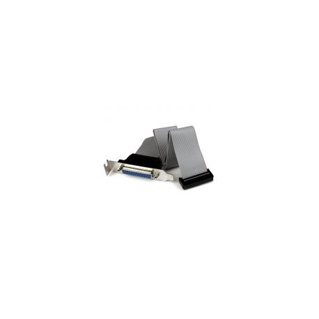 Adaptador Bracket Paralelo  40Cm Db25 A Idc26 Startech Plate25F16Lp