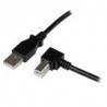 Cable Usb 1M Impresora Usb A Usb B   Startech Usbab1Mr